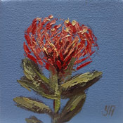 Yvonne Ankerman